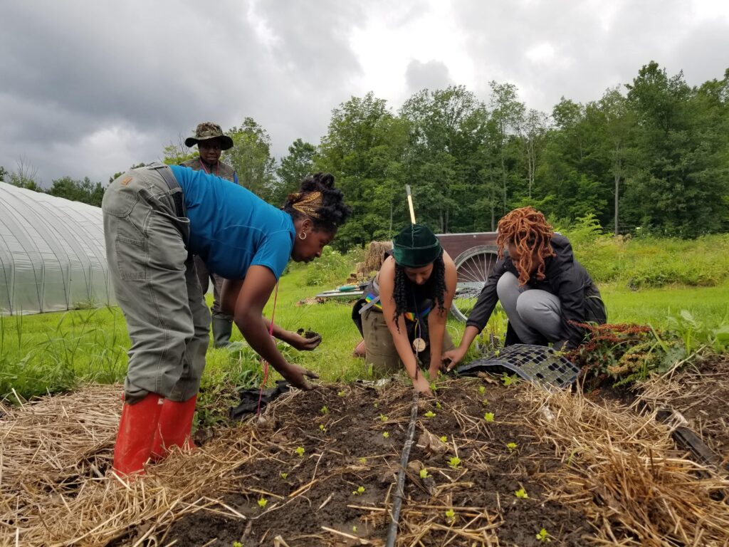 Four team members farming in soil 